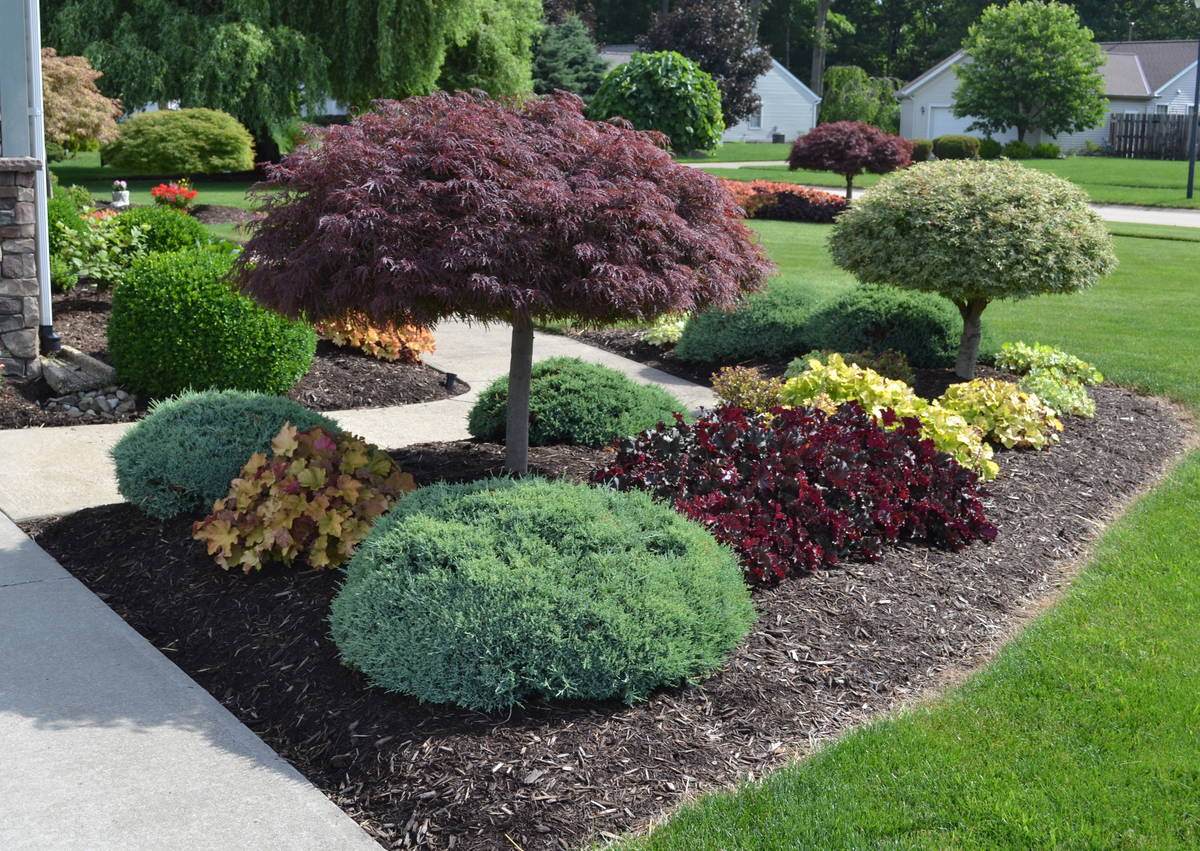 Landscape Design in Innsbrook example 7
