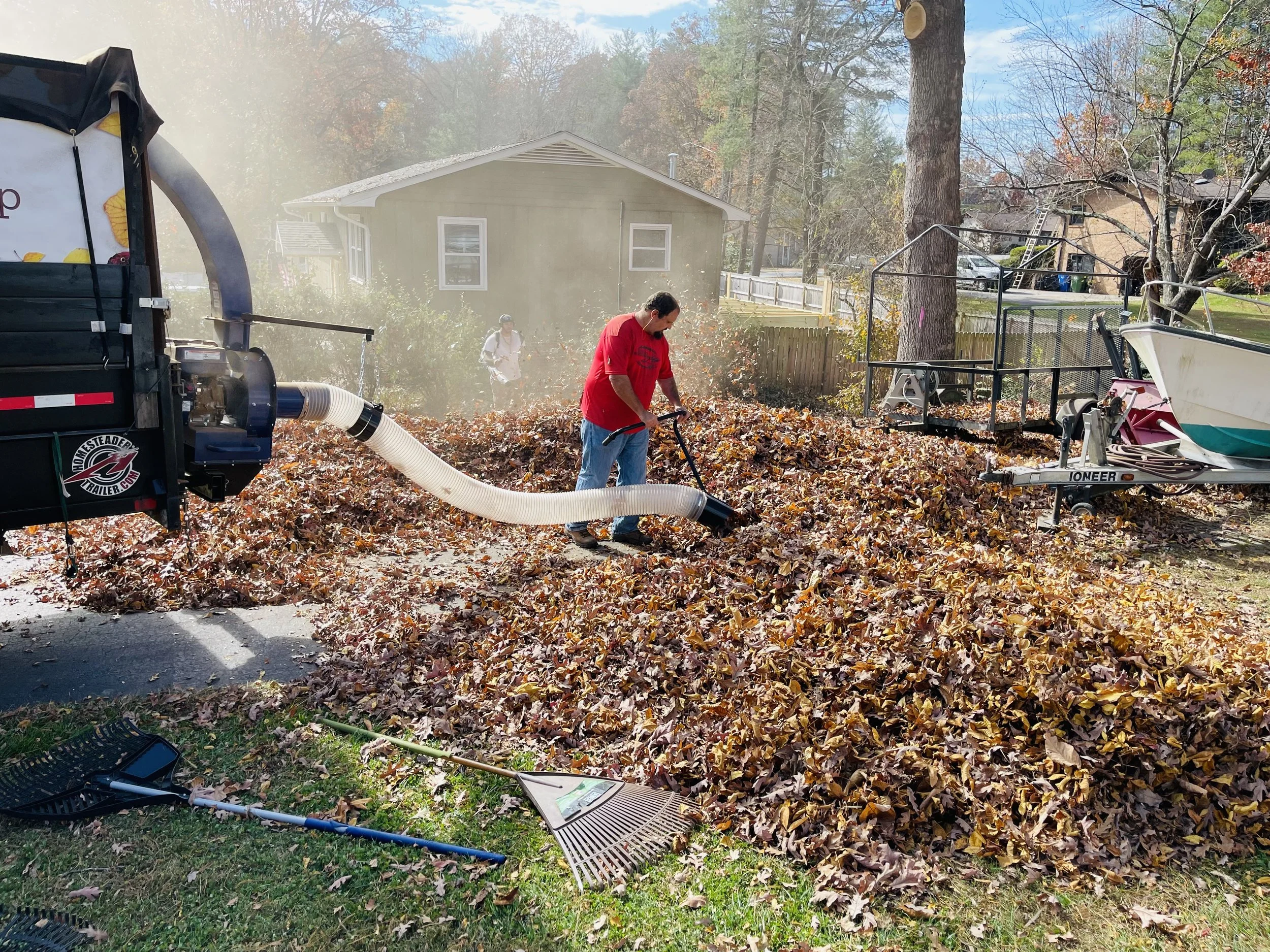 Leaf Removal in Ashland example 1