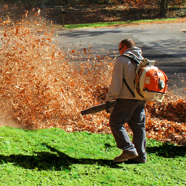 Leaf Removal in Ashland example 4