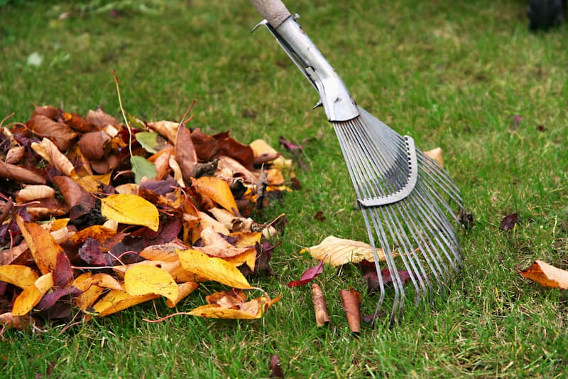 Leaf Removal in Ashland example 5