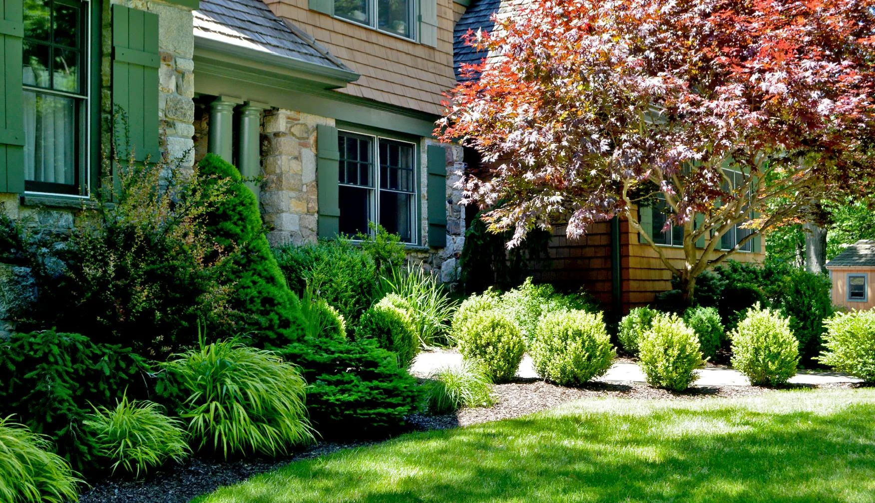 Tree & Shrub Planting in Short Pump example 1