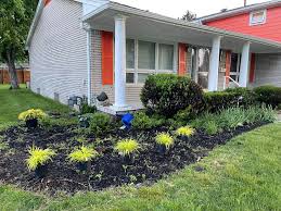 Tree & Shrub Planting in Short Pump example 6