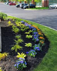 Tree & Shrub Planting in Short Pump example 7