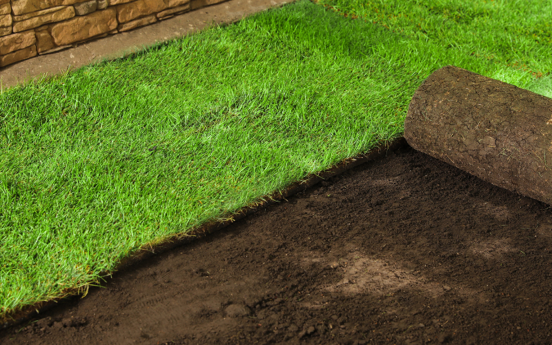 Sod Installation in Innsbrook example 1