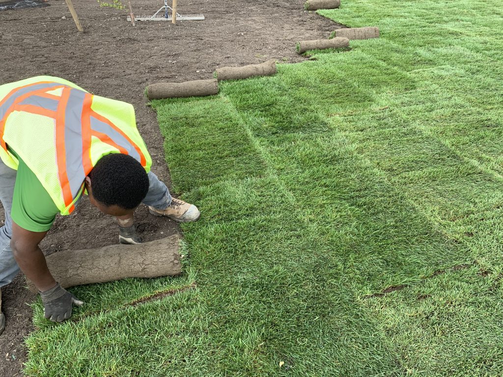 Sod Installation in Innsbrook example 2