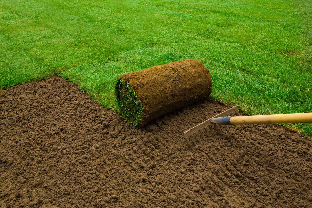Sod Installation in Innsbrook example 3