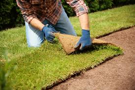 Sod Installation in Innsbrook example 4