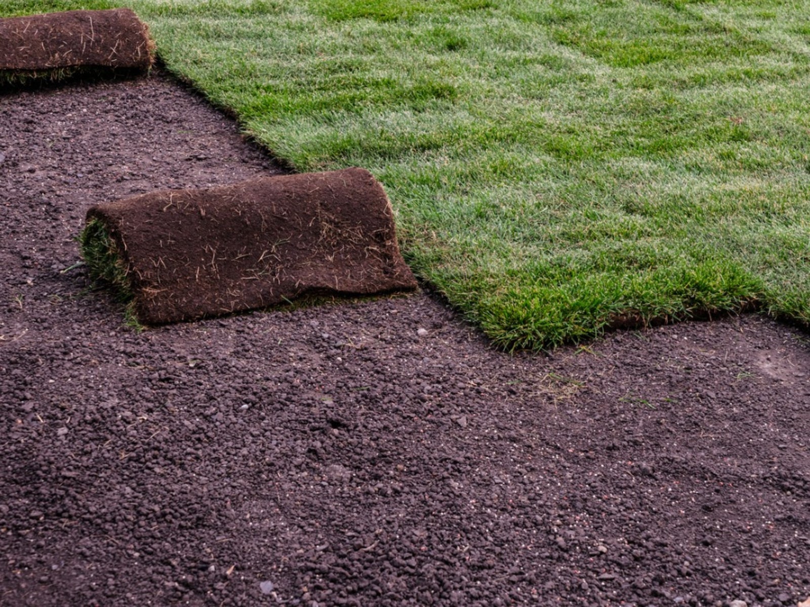 Sod Installation in Innsbrook example 6